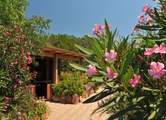 Chalet Village Torre del Porticciolo
